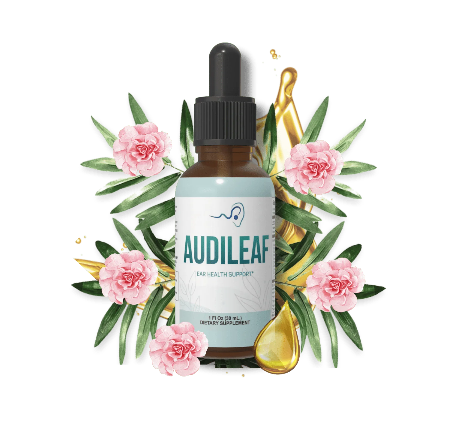 AudiLeaf